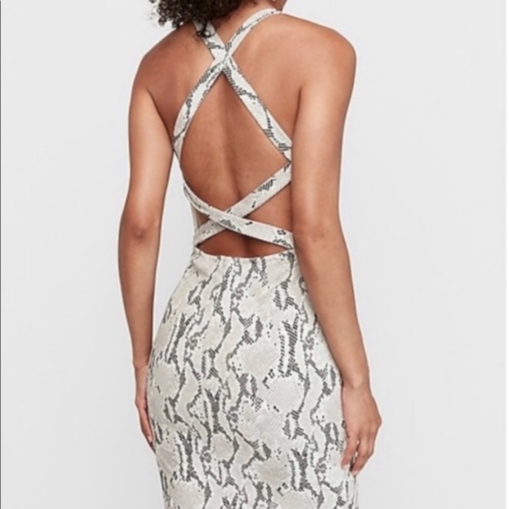 Express Snakeskin Dress Size S